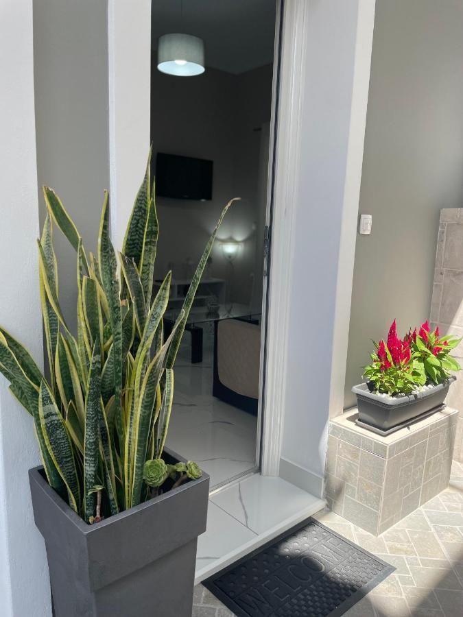 Aiginetan Apartment
